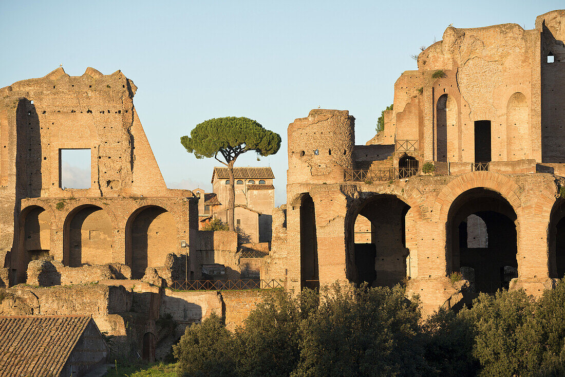 Rome. Italy. Ruins of the Palace of Septimius Severus on the Palatine hill.