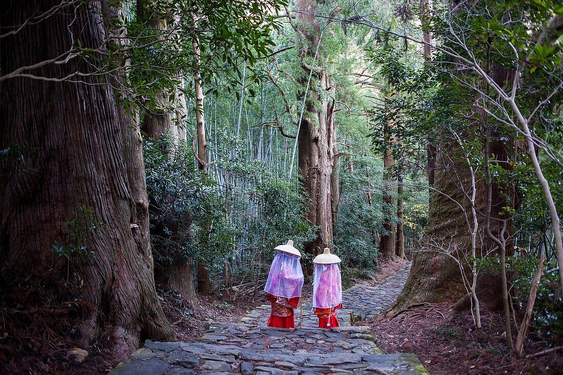 Pilgrims in Heian period costumes, in Daimon-zaka Slope, access at Kumano Nachi Taisha Grand Shire, Kumano Kodo,Nakahechi route, Wakayama, Kinki, Japan.