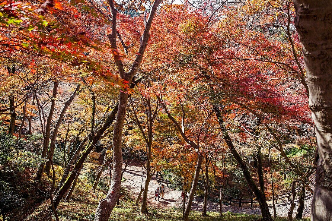 The garden, in Kiyomizu-dera temple, Kyoto. Kansai, Japan.