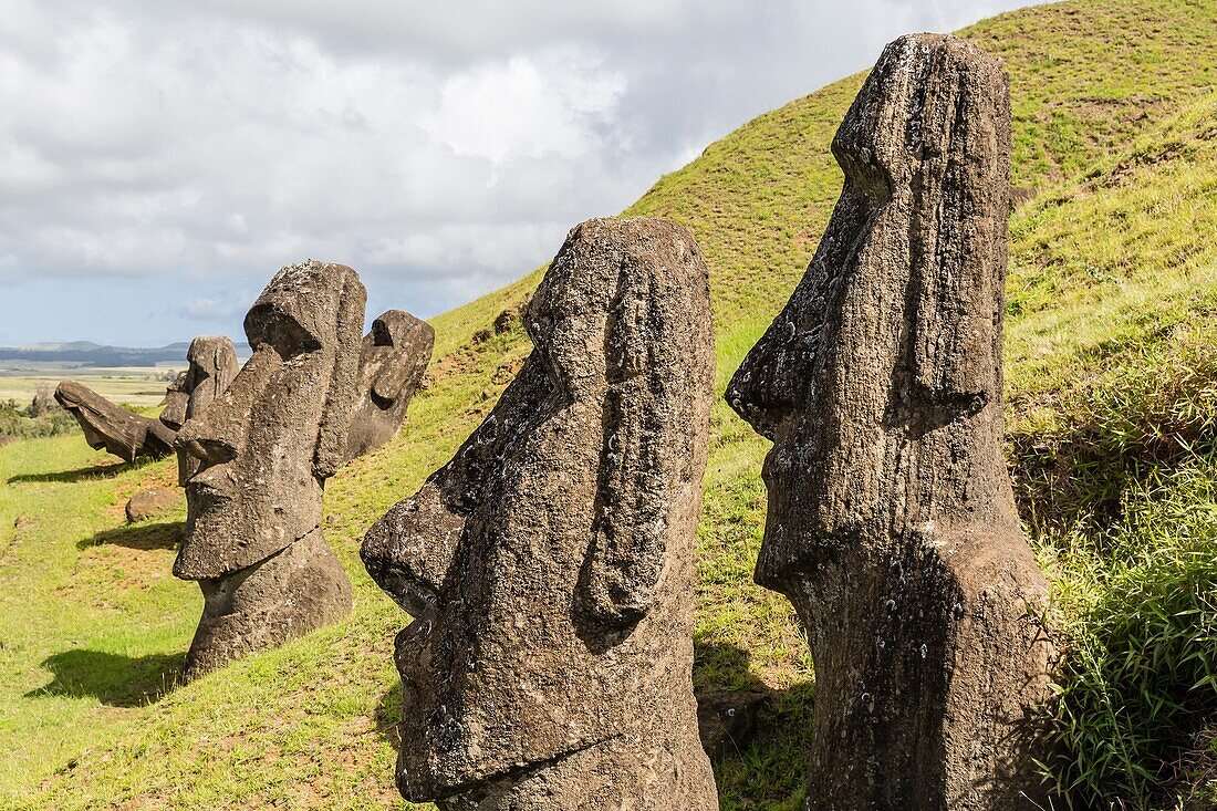 Moai sculptures in various stages of completion at Rano Raraku, the quarry site for all moai on Easter Island, Isla de Pascua, Rapa Nui, Chile.