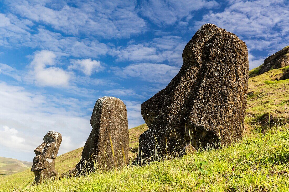 Moai sculptures in various stages of completion at Rano Raraku, the quarry site for all moai on Easter Island, Isla de Pascua, Rapa Nui, Chile.