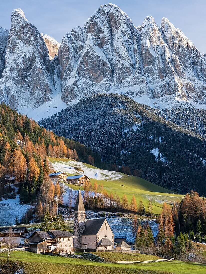 The church Sankt Magdalena in the Villnoess valley in the Dolomites during autumn.The peaks of the Geisler Mountain Range (Gruppo delle Odle), which is part of the UNESCO world heritage site Dolomites. Europe, Central Europe, Italy, South Tyrol, Alto Adig