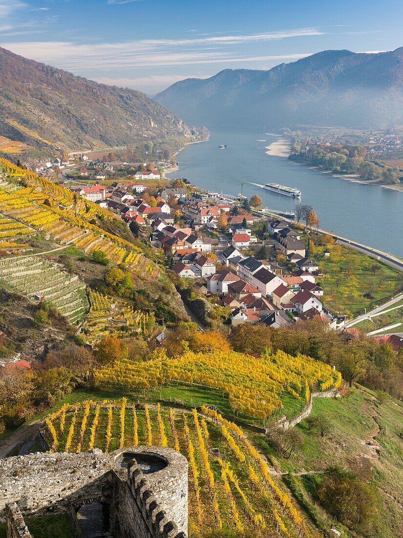 Castle ruin Hinterhaus in the village Spitz in the Wachau. The Wachau is a famous vineyard and listed as Wachau Cultural Landscape as UNESCO World Heritage. Europe, Central Europe, Austria, Lower Austria.