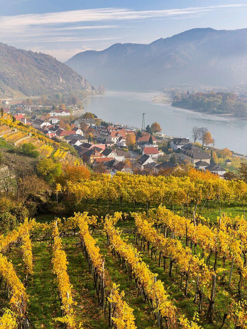The village Spitz in the Wachau. The Wachau is a famous vineyard and listed as Wachau Cultural Landscape as UNESCO World Heritage. Europe, Central Europe, Austria, Lower Austria.