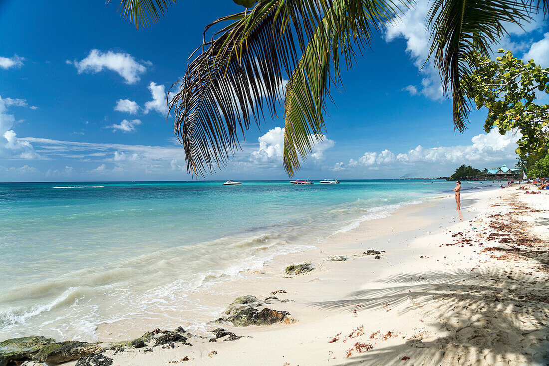 Palm fringed sandy beach of Bayahibe, Dominican Republic, Carribean, America,.