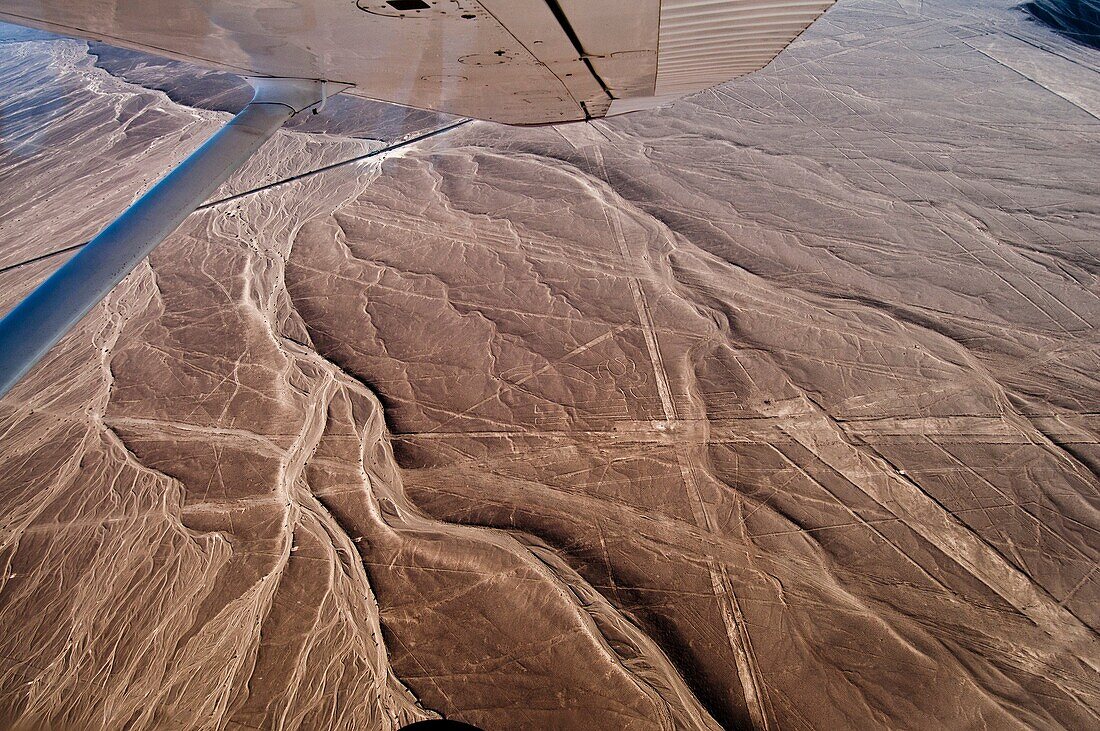 Nazca lines, view by plane, Peru