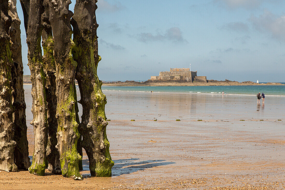 Plage de Sillon, Küstenbefestigung, Wellenbrecher, Eichenpfähle, Holzpfähle, Saint Malo, Hintergrund Fort National, Bretagne Frankreich