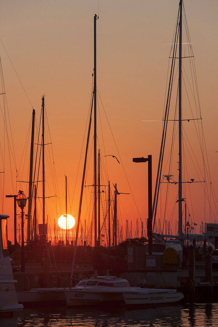 The rising sun turns the sky orange over sailboats and other pleasure craft docked in the harbor in Annapolis, Maryland.