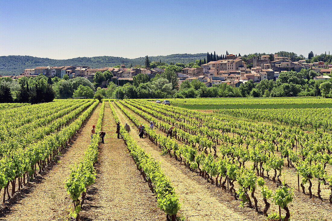 Europe, France, Var, Carces. The village of Carces and vineyards.