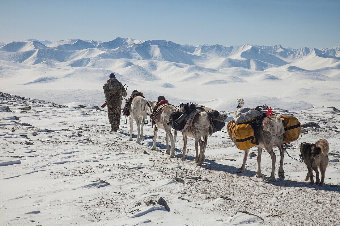 Tsataan cross pass that leads into Hunkher mountains, spring reindeer round-up, northern Mongolia.