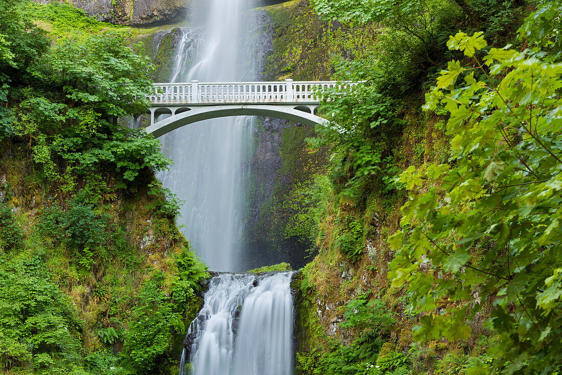 Multnomah Falls, Brücke, Columbia River Gorge, Oregon, USA