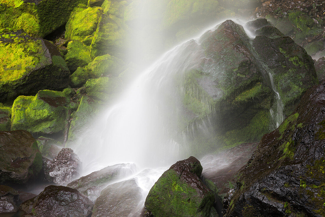 Ponytail Falls, Columbia River Gorge, Oregon, USA