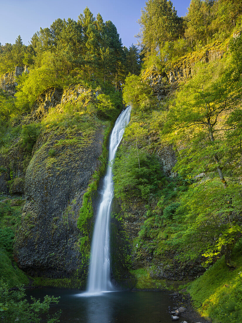 Horsetail Falls, Columbia River Gorge, Oregon, USA