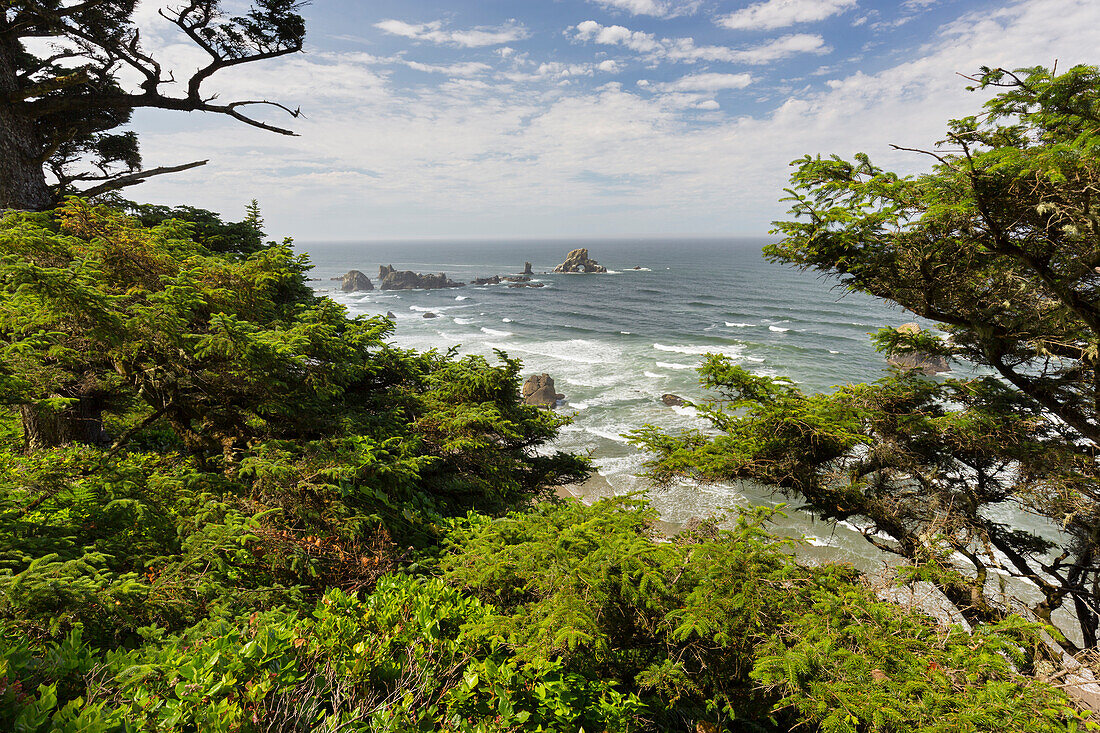 Ecola State Park, Cannon Beach, Oregon, USA