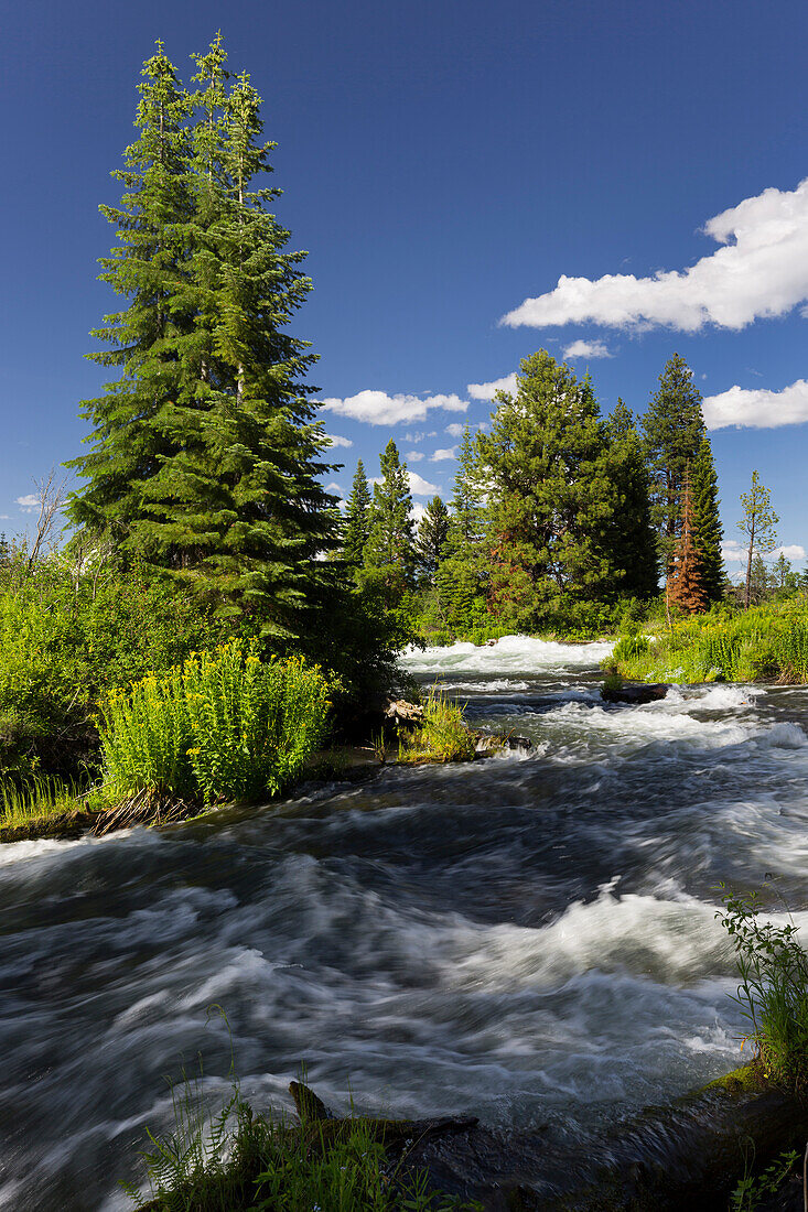 Deschutes River, Bend, Oregon, USA