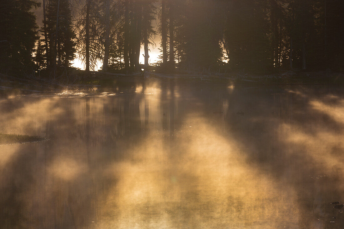 Morgennebel am Sparks Lake, Oregon, USA