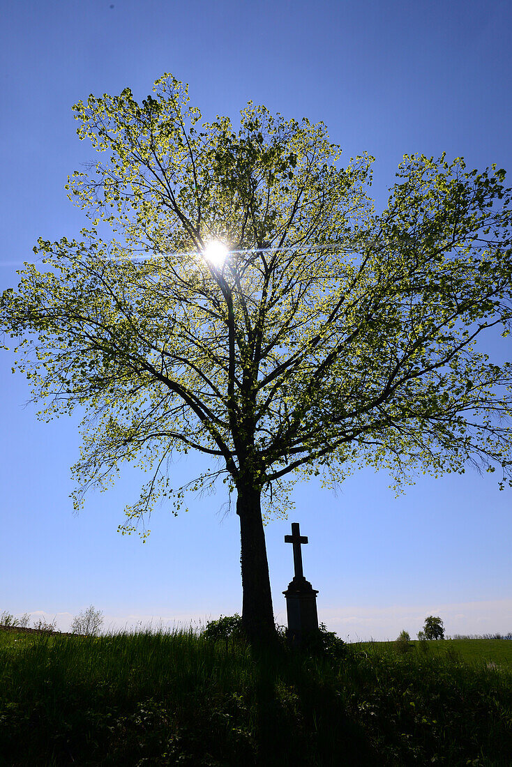 Near Salem, Lake Constance, Baden-Wurttemberg, Germany