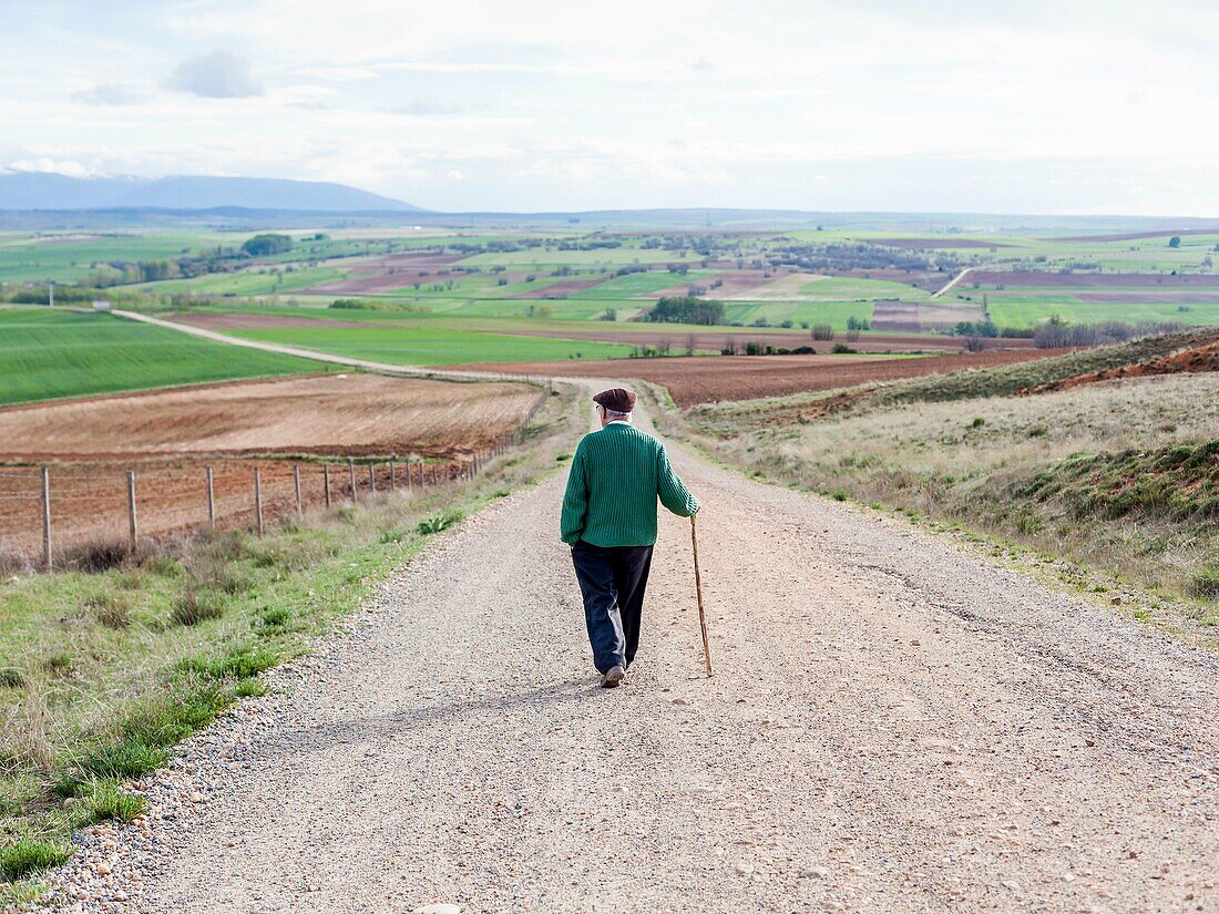 An old man walks down a path of Sotillo, Sepulveda, Segovia, Spain.