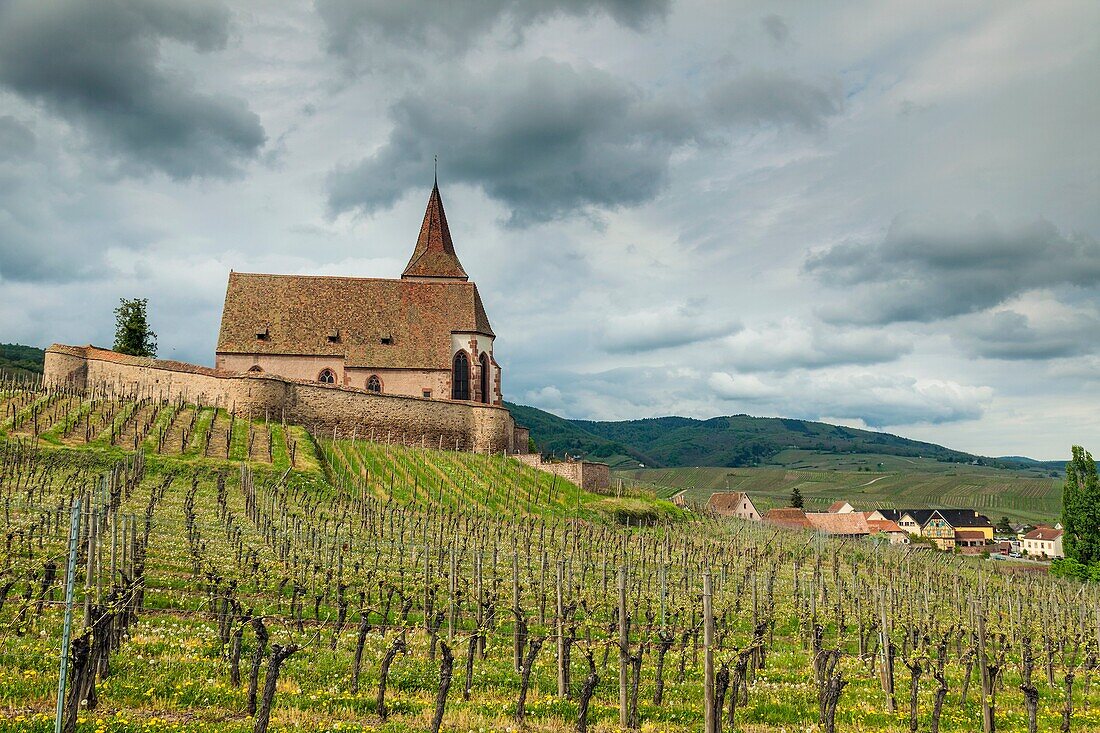 The village of Hunawihr before a storm, Alsace, France.