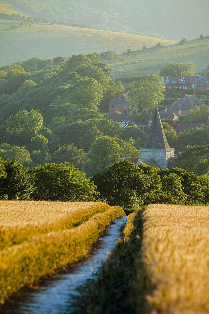 Summer afternoon in South Downs National Park near Alfriston, East Sussex, England, United Kingdom. Cuckmere Valley.