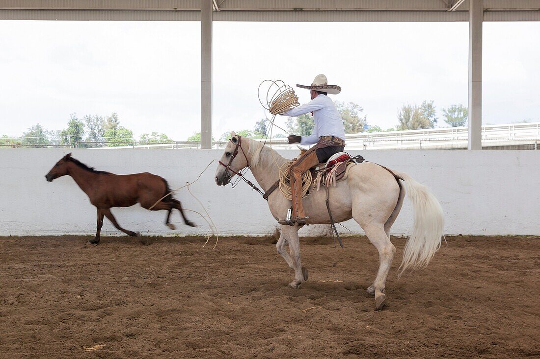 'The charreada or charrería is a competitive event similar to rodeo and was developed from animal husbandry practices used on the haciendas of old Mexico. The sport has been described as ''living history,'' or as an art form drawn from the demands of work