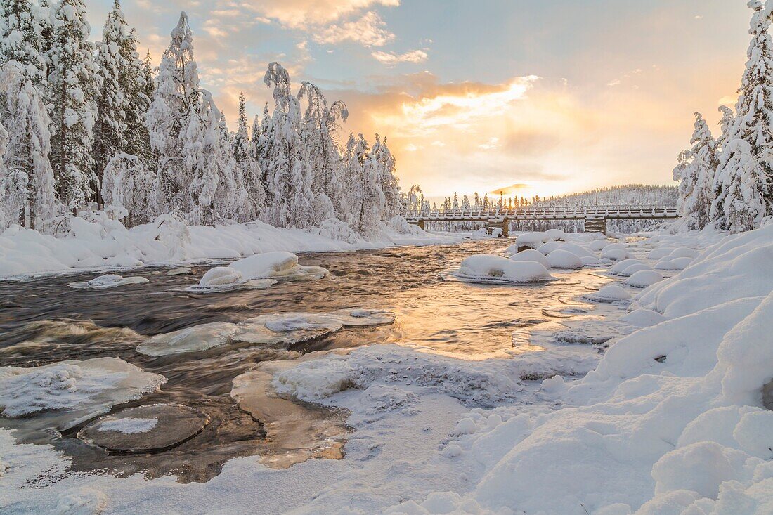 Wassara river with old wooden bridge, open water, sun reflecting in the water, snowy trees and snow on the rocks in the water, Gällivare, Swedish Lapland, Sweden.