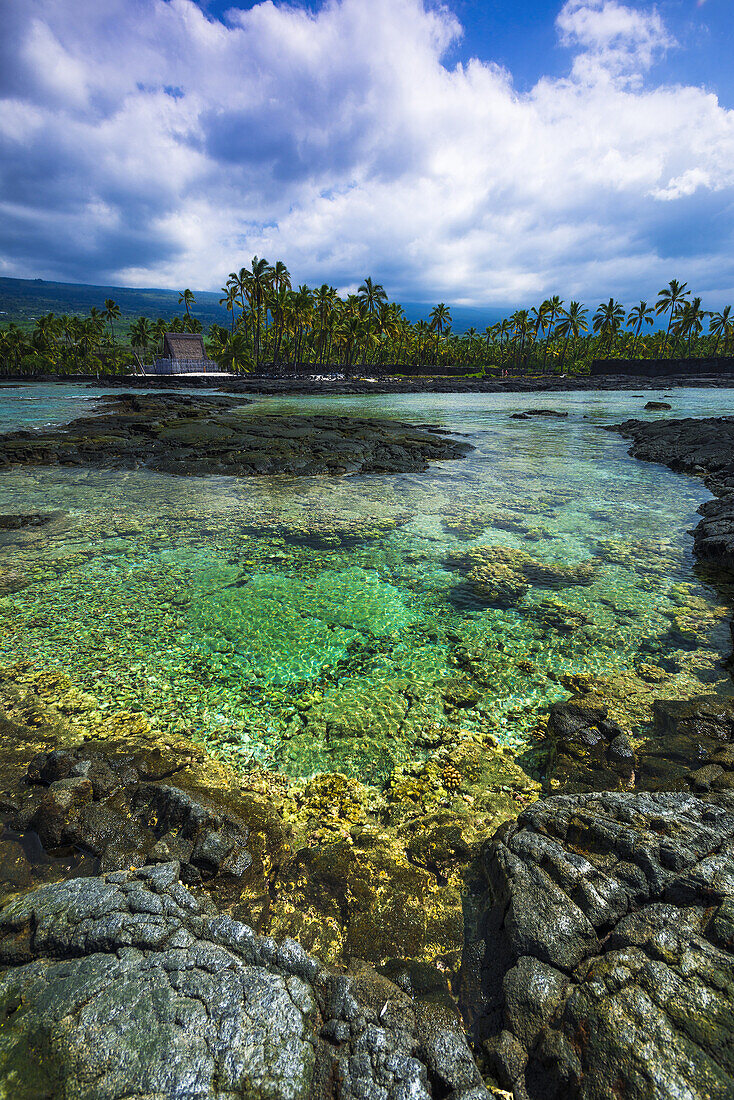 Coral reef and heiau, Pu´uhonua O Honaunau National Historic Park (City of Refuge), Kona Coast, Hawaii USA.