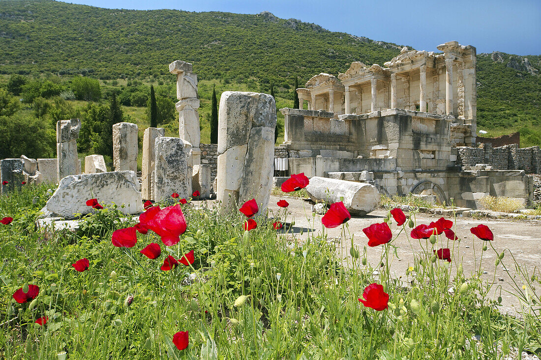 Antique city of Ephesus, poppy flowers in front, Turkey, Western Asia.