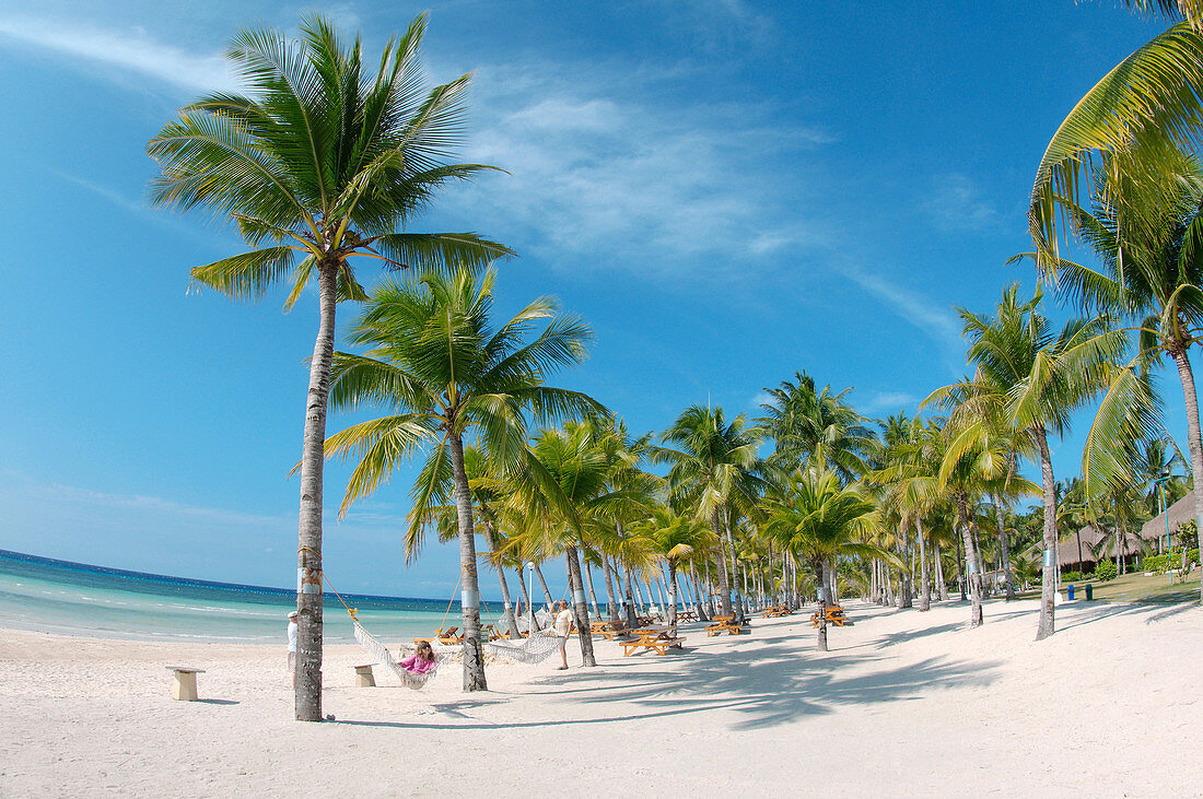 Sandy beach with palm trees, island Bohol, Philippines, Southeast Asia.