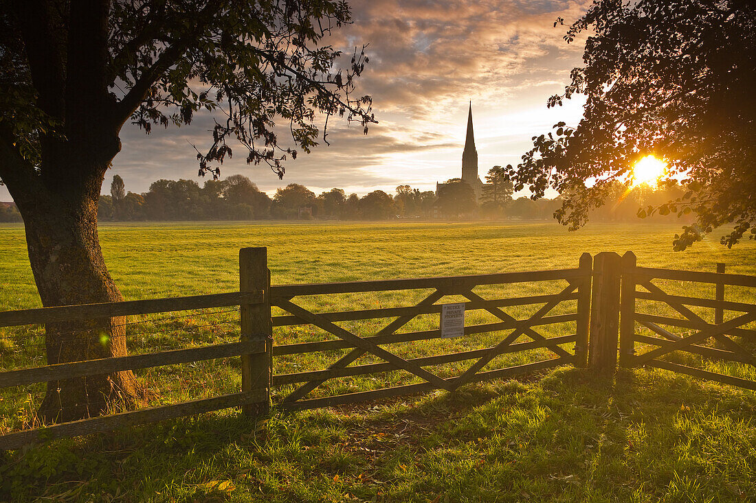 Salisbury cathedral and the west harnham water meadows.