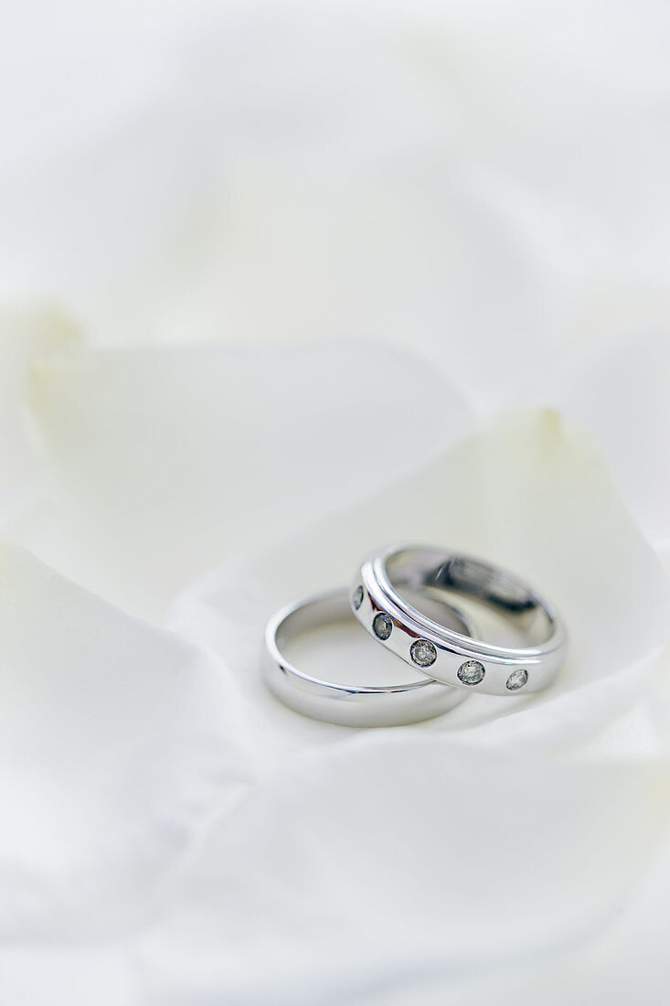 Two wedding rings his and hers set amongst white Rose petals.