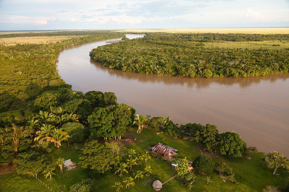 Cravo sur river, Eastern Plains, Orinoquia region, Casanare department, Colombia, America.