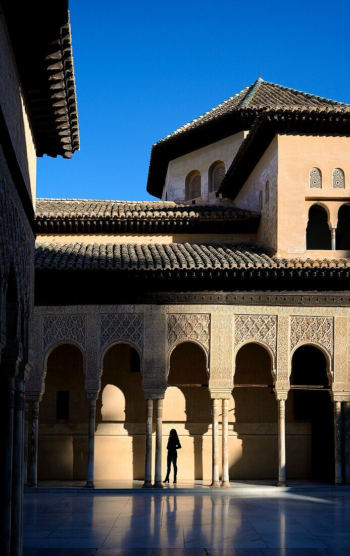 Spain, Andalusia (Andalucia), Granada, the Alhambra Palace, listed as World Heritage by UNESCO, built between 13th and 14th century by the Nasrid Dynasty, Islamic architecture, Nasrid Palaces (Palacios Nazaries), the Court of the Lions (Patio de los Leone