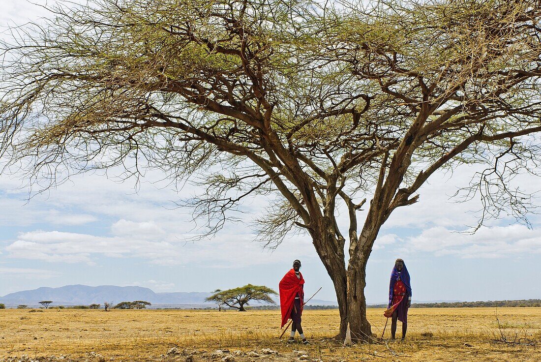 Two Masai men, Ngorongoro Conservation Area, Tanzania, East Africa.