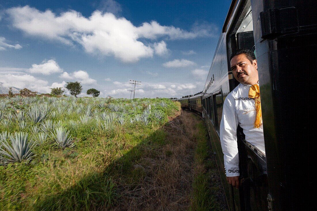 cuervo tequila train express around agave fields.