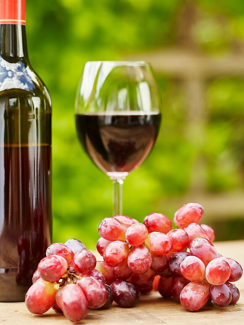 Red Wine, Glass and Grapes on the table - focus on grapes, vertical format.