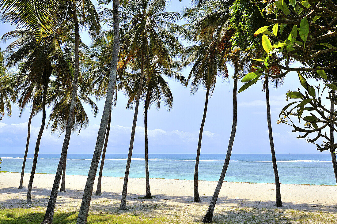 Palm-fringed beach at the southern East Coast of Kenya.