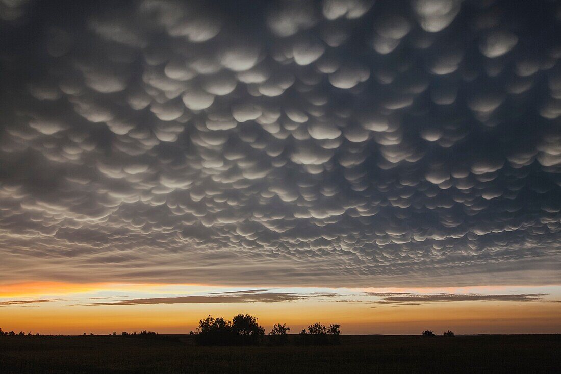 Intense mammatus form over eastern Nebraska behind a line of storms.