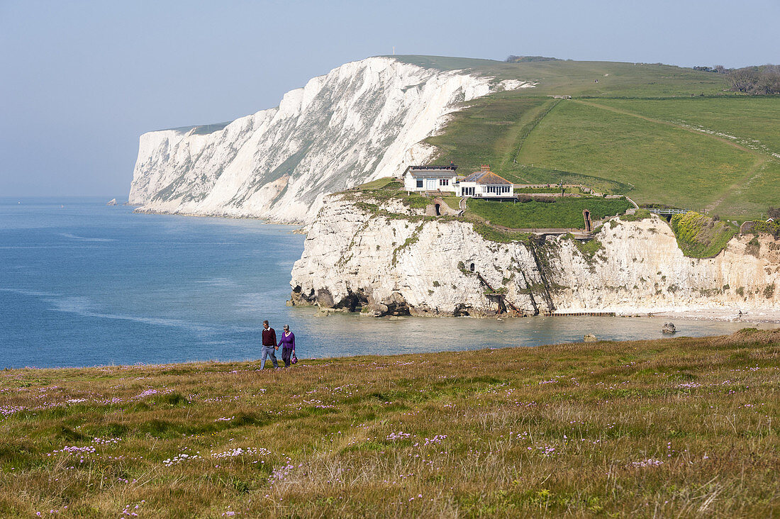 Couple walking hand in hand along the cliff tops on the west wight coastal route at freshwater on the isle of white UK.