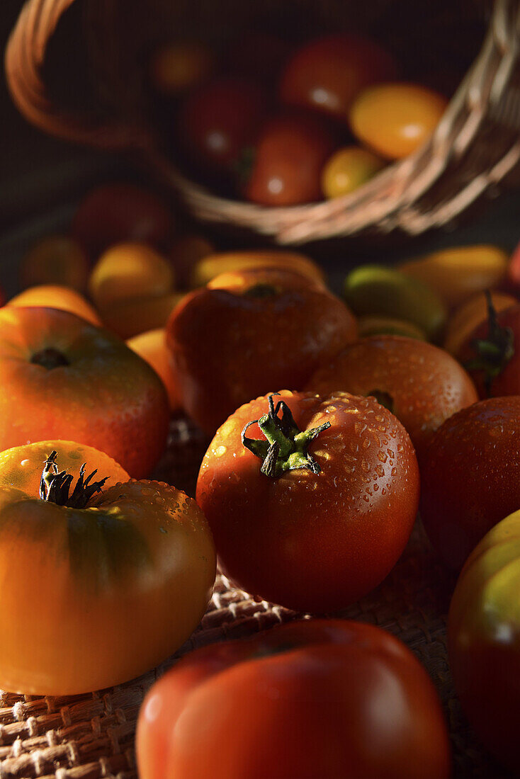 tomatoes on the table.