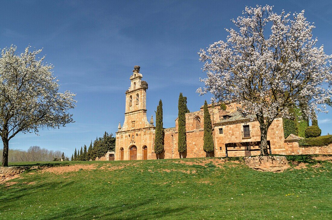 Antiguo convento de San Francisco, Ayllón. Conjunto histórico artístico. Segovia province. Castile-Leon. Spain.