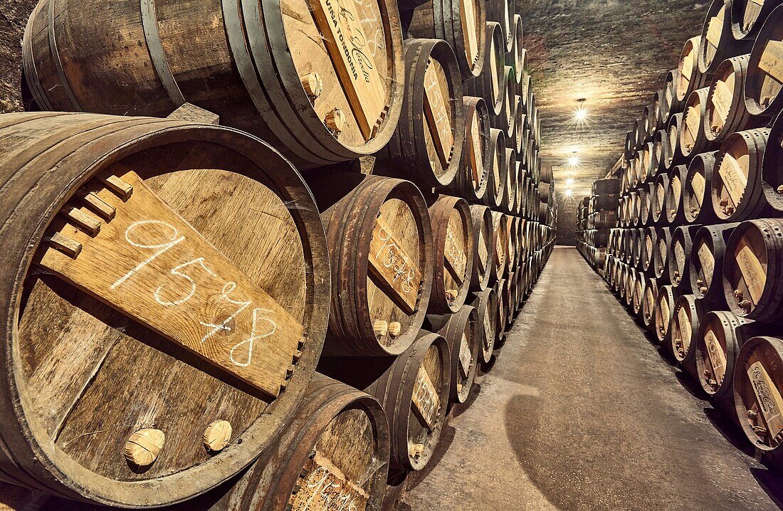R. Lopez de Heredia Viña Tondonia wine cellar. Haro. La Rioja. Spain.