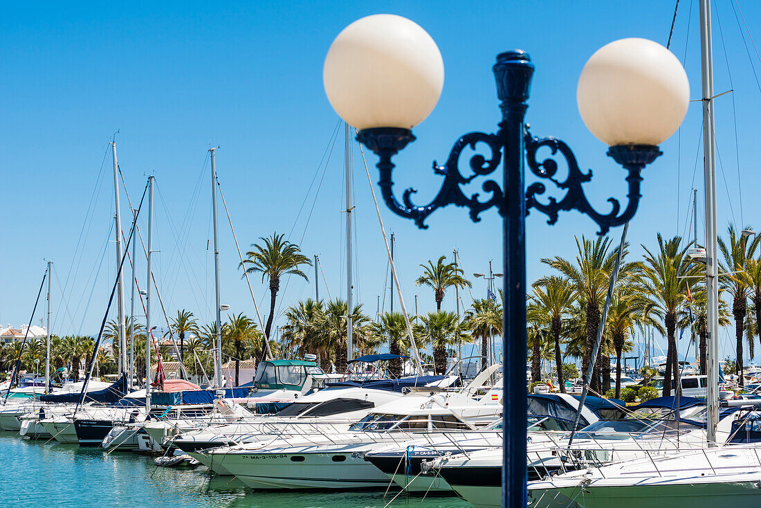The harbour in a typical seaside resort with palm trees and yachts, Benalmadena, Andalusia, Spain