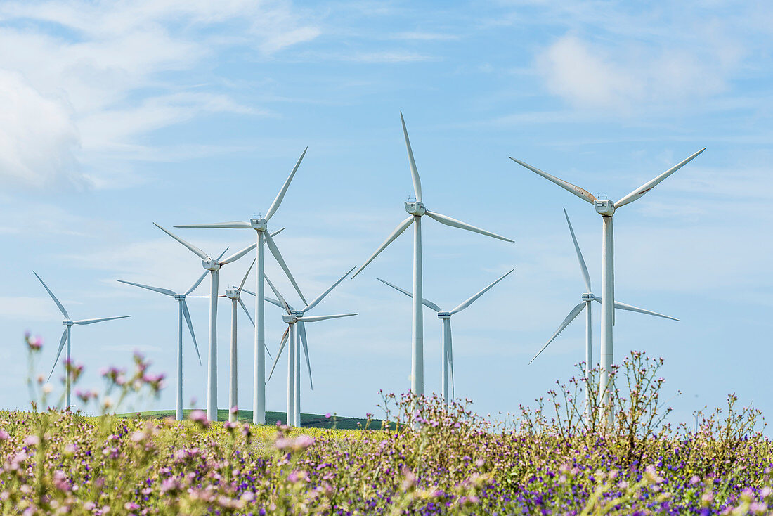 Windkraftanlage, Tarifa, Costa de la Luz, Cadiz, Spanien