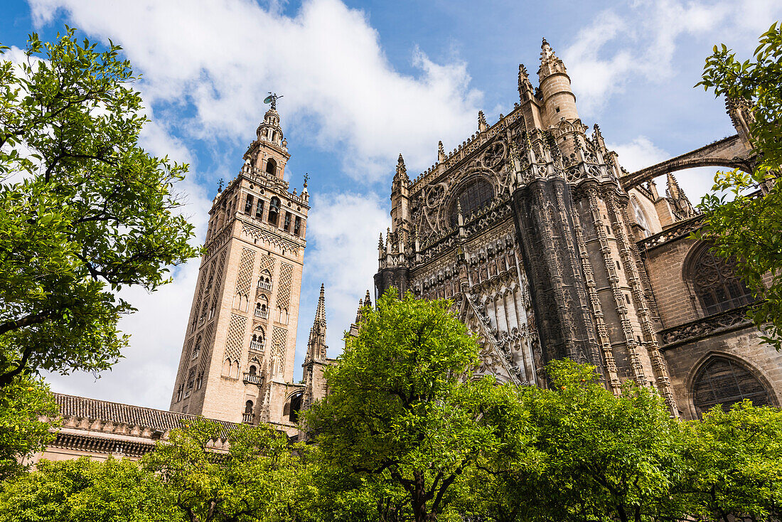Die Kathedrale mit Glockenturm im historischen Zentrum, Sevilla, Andalusien, Provinz Sevilla, Spanien