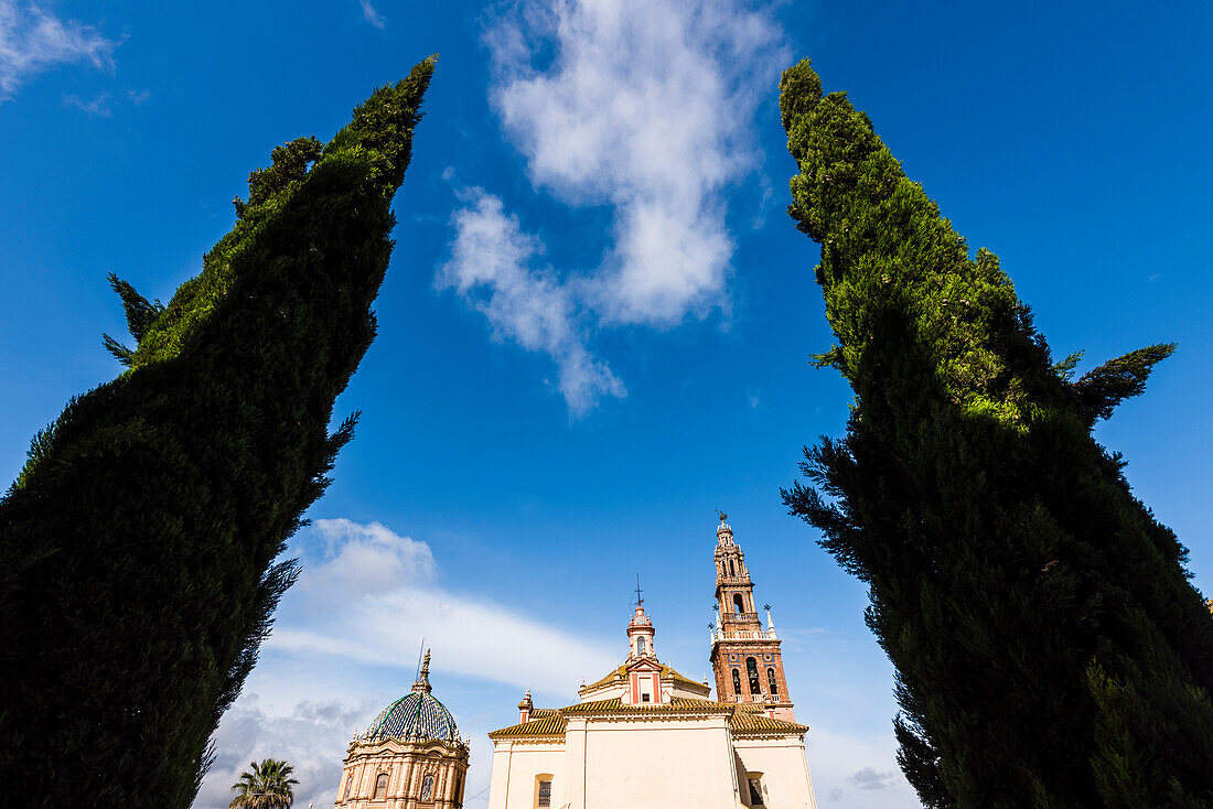Die Kirche San Pedro, eingerahmt von zwei Zypressen, Carmona, Andalusien, Spanien
