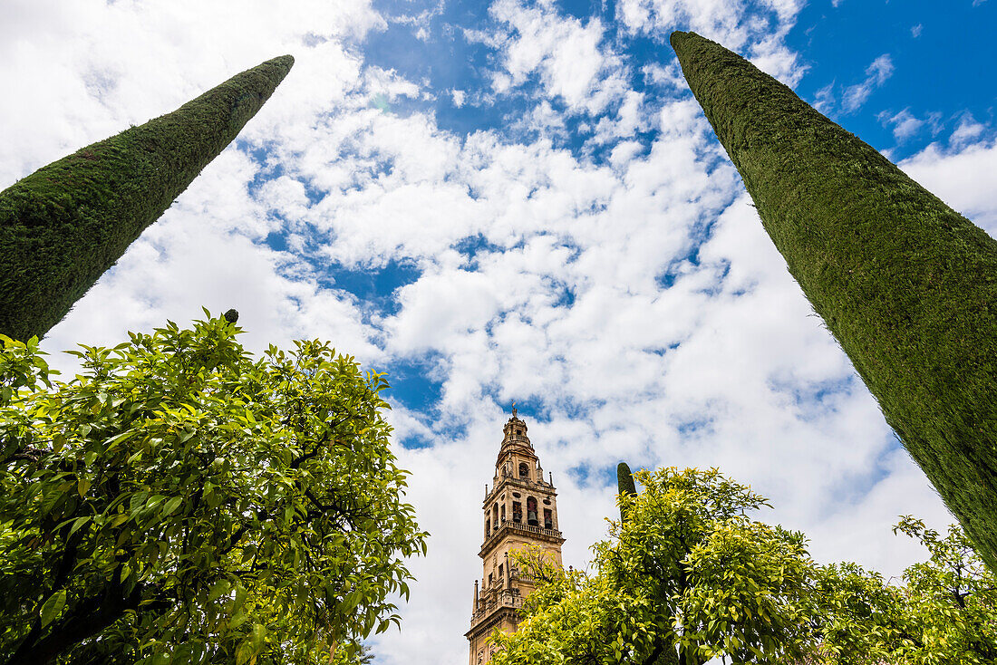 Der Glockenturm der Kathedrale Mezquita-Catedral de Córdoba, eingerahmt von 2 Zypressen, Cordoba, Andalusien, Spanien