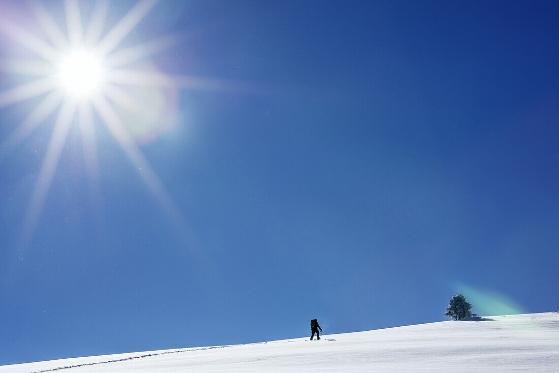Person auf Skitour steigt über weiten Schneehang auf, Mangfallgebirge, Bayerische Alpen, Oberbayern, Bayern, Deutschland