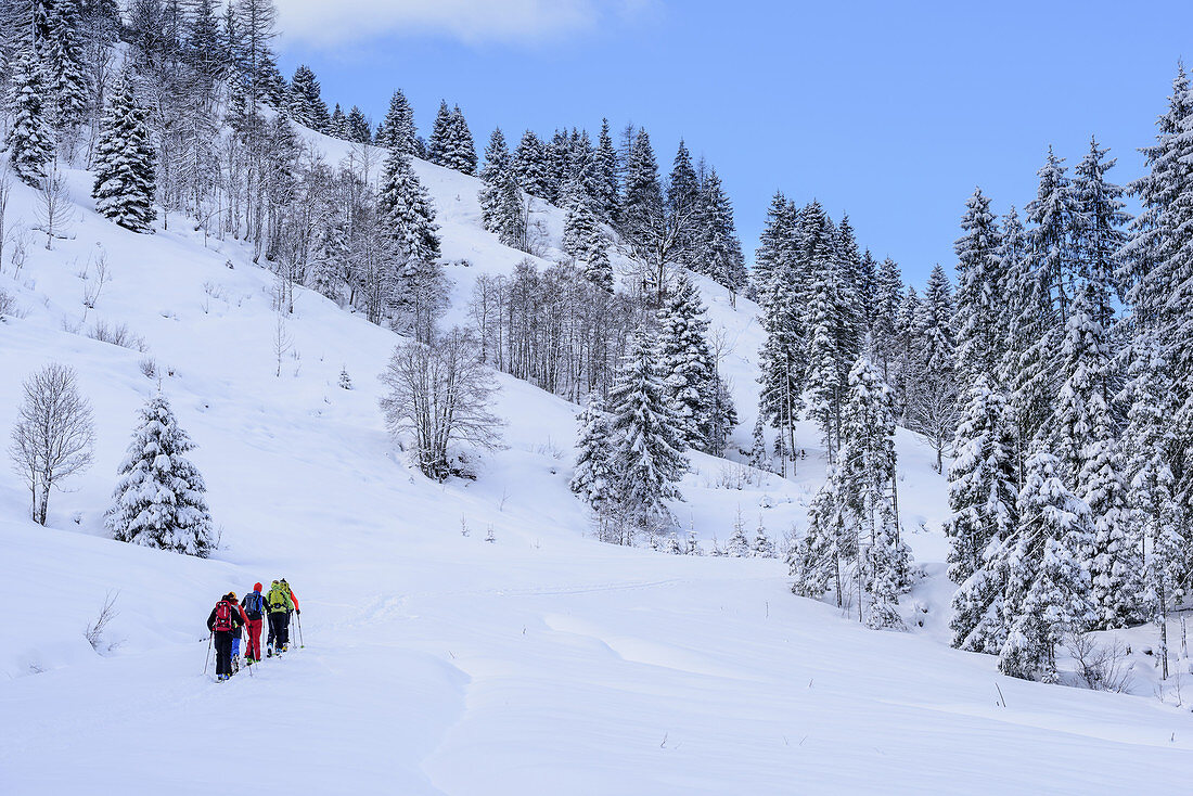 Mehrere Personen auf Skitour steigen zum Sonnenjoch auf, Sonnenjoch, Kitzbüheler Alpen, Tirol, Österreich