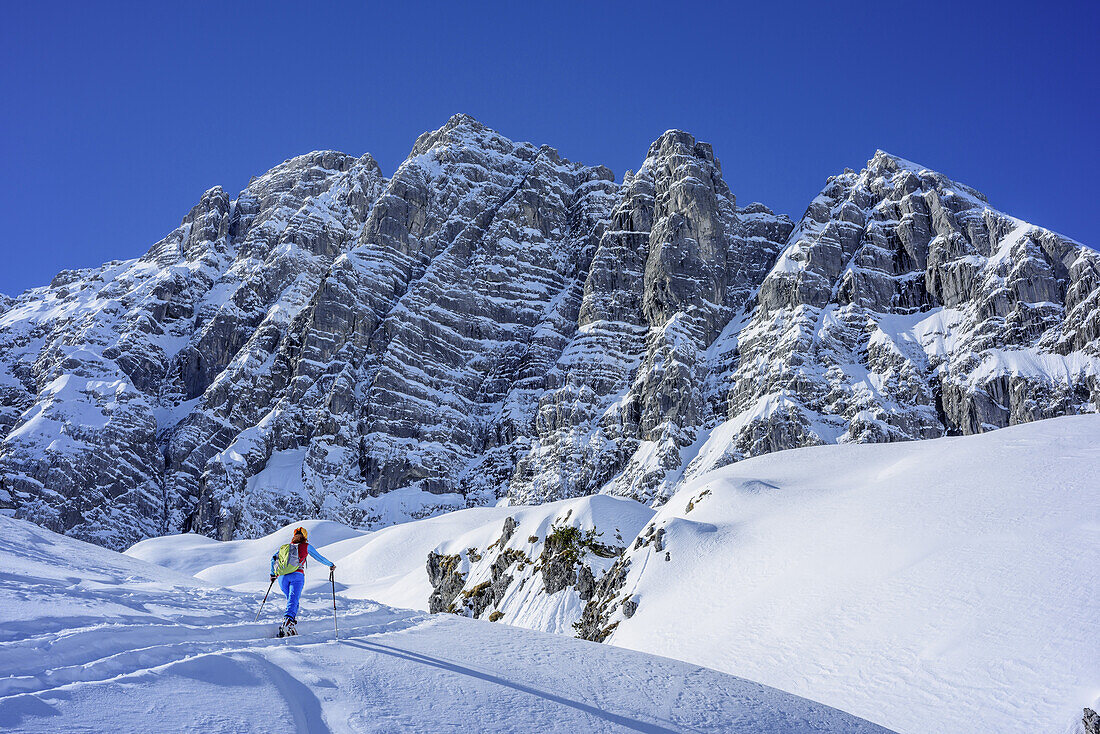 Woman back-country skiing ascending to Hochalm, Blaueisspitze in background, Hochalm, Hochkalter, National Park Berchtesgaden, Berchtesgaden Alps, Berchtesgaden, Upper Bavaria, Bavaria, Germany